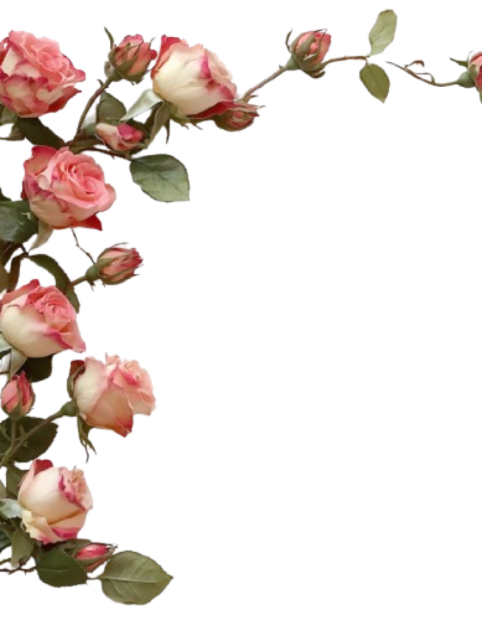 8fcc4936-ebbf-4233-8744-e3d7293c90a0-removebg-preview