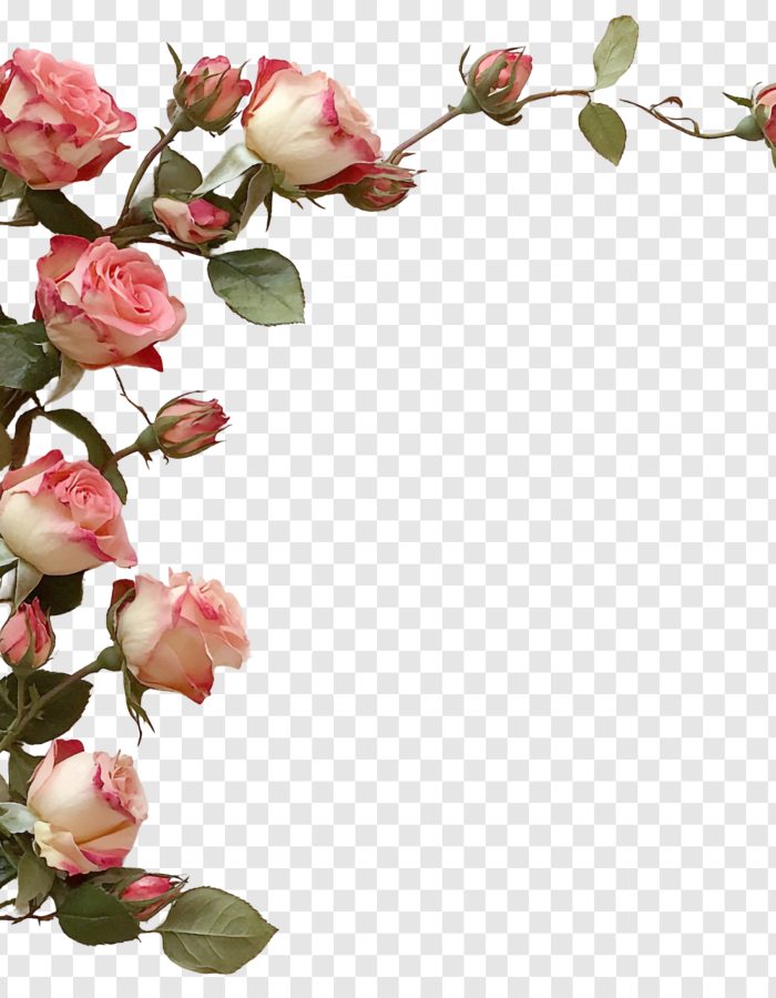 Elegant Pink Rose Vine Corner Design, Perfect for Wedding Invitations or Romantic Cards