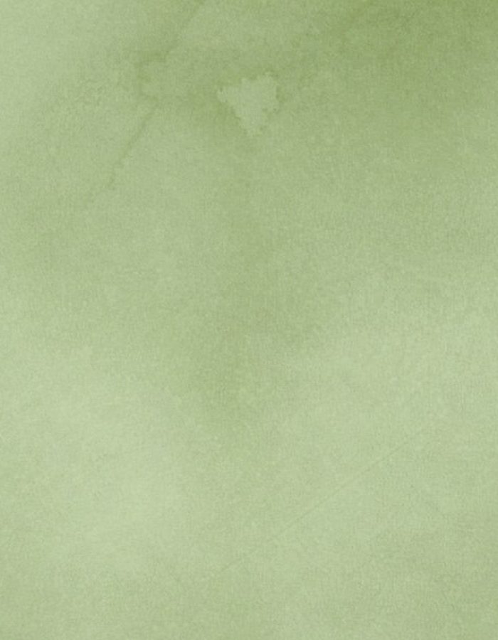 background-600×600 (1)